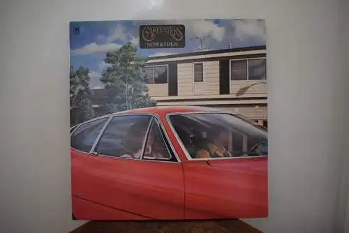Carpenters ‎– Now & Then