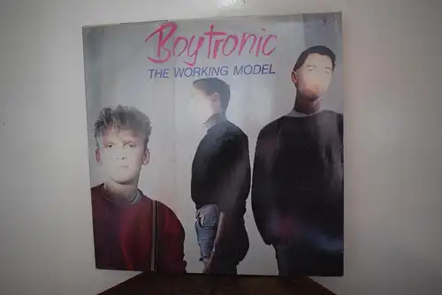 Boytronic ‎– The Working Model