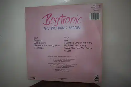 Boytronic ‎– The Working Model