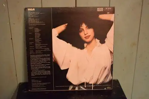 Helen Schneider ‎– Let It Be Now