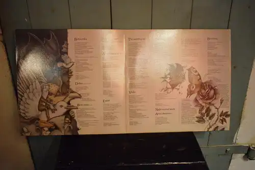 Kate Bush ‎– Never For Ever