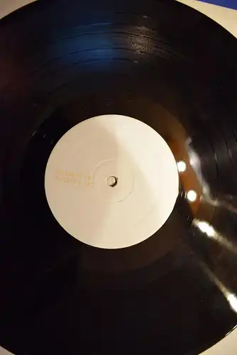 The Renegades  ‎– The Renegades Story " Sammlerstück , seltene Promo Version der WEA "