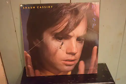 Shaun Cassidy – Wasp