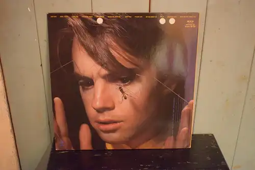 Shaun Cassidy ‎– Wasp