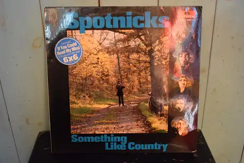 Spotnicks ‎– Something Like Country