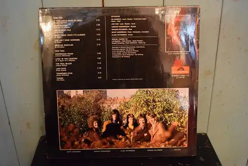 Spotnicks ‎– Something Like Country