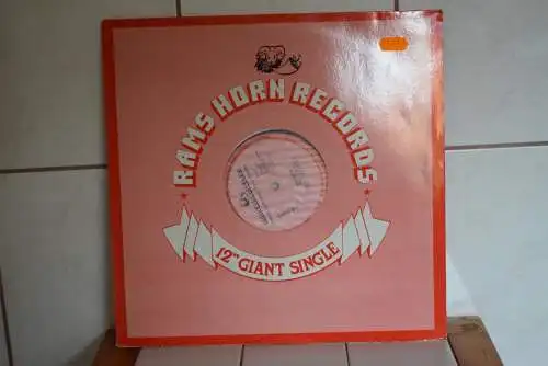 The Flirts – Passion (Special R.E.M.I.X.E.D. Disco Version)