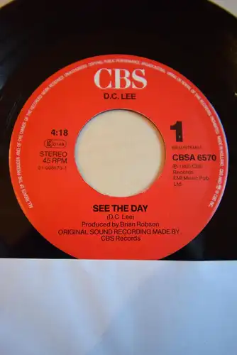 Dee C. Lee ‎– See The Day / This Paris Match