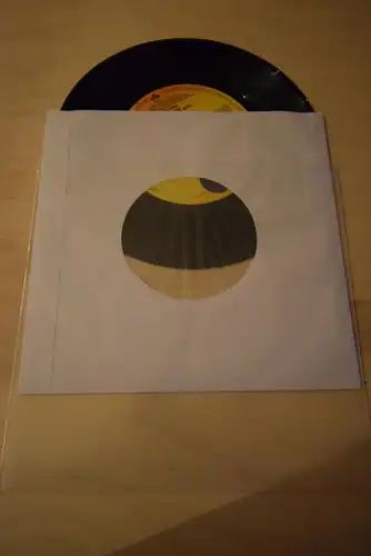 Madonna ‎– True Blue (Remix/Edit) / Holyday