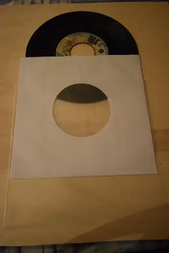 Suzi Quatro ‎– Devil Gate Drive / In the Morning 