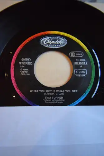Tina Turner ‎– What You Get Is What You See / Life Version
