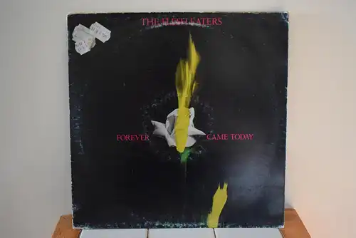 The Flesh Eaters ‎– Forever Came Today