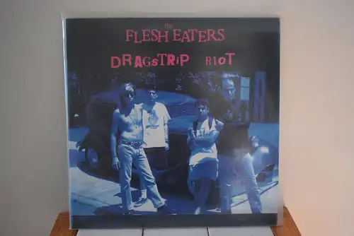 The Flesh Eaters ‎– Dragstrip Riot " Schöne Doppel LP in Pink transparent Vinyl , Top Zustand "