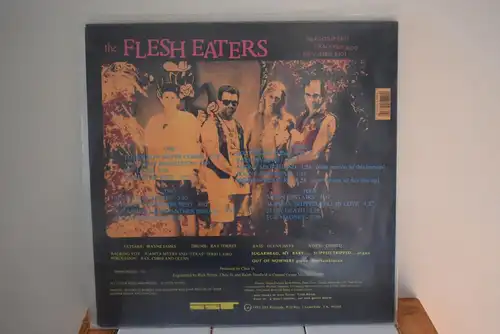The Flesh Eaters ‎– Dragstrip Riot " Schöne Doppel LP in Pink transparent Vinyl , Top Zustand "