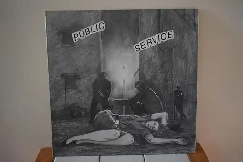 Public Service " Absolutes Sammlerstück , extrem seltener Punk Sampler aus den USA , Top Zustand "