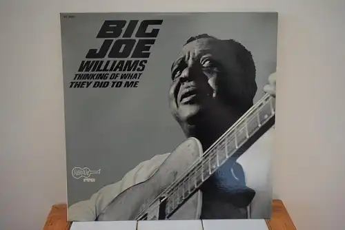 Big Joe Williams ‎– Thinking Of What They Did To Me