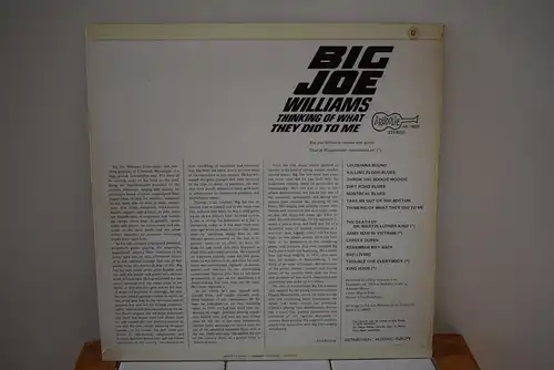 Big Joe Williams ‎– Thinking Of What They Did To Me