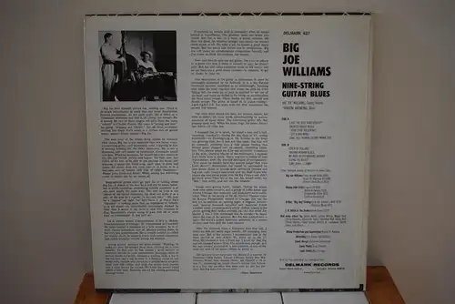 Big Joe Williams ‎– Nine String Guitar Blues