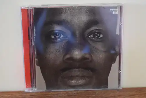 Bad Religion – The Gray Race