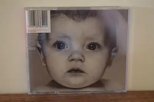 Bad Religion ‎– The Gray Race