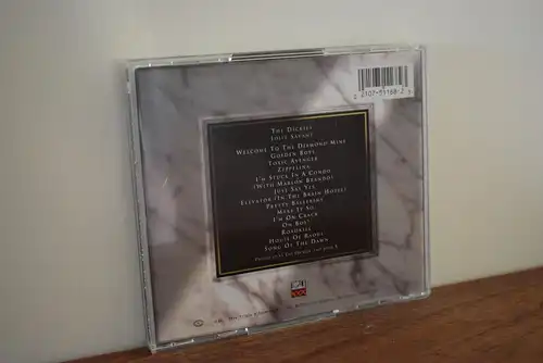 The Dickies ‎– Idjit Savant