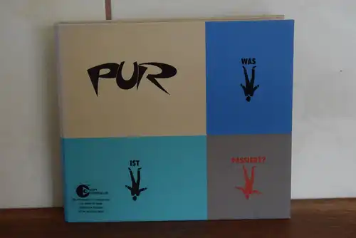 PUR ‎– Was Ist Passiert?