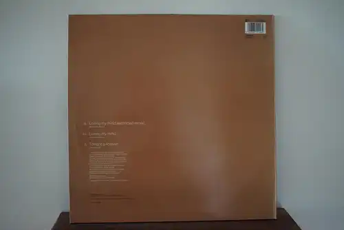 Liza Minnelli ‎– Losing My Mind