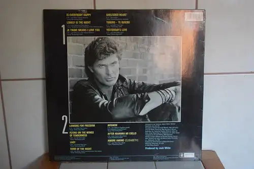 David Hasselhoff ‎– Looking For Freedom