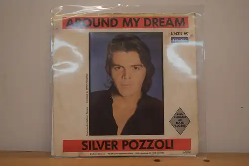 Silver Pozzoli ‎– Around My Dream