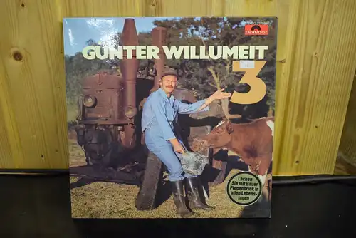 Günter Willumeit ‎– Günter Willumeit 3