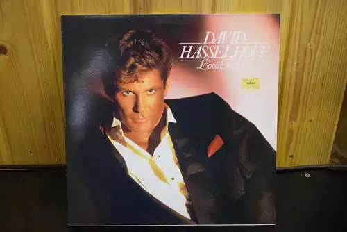 David Hasselhoff ‎– Lovin Feelings