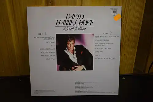 David Hasselhoff ‎– Lovin Feelings