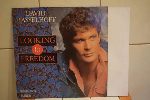 David Hasselhoff ‎– Looking For Freedom