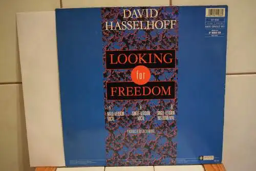 David Hasselhoff ‎– Looking For Freedom
