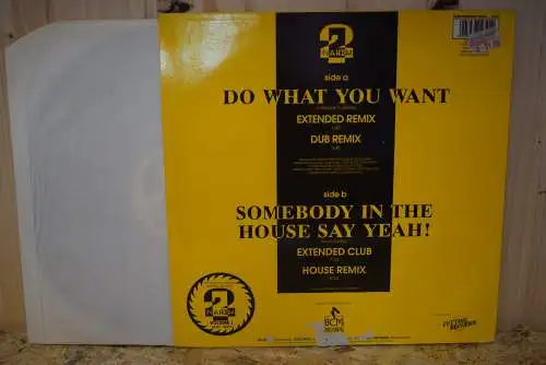 2 In A Room ‎– Do What You Want (Remix) / Somebody In The House Say Yeah!