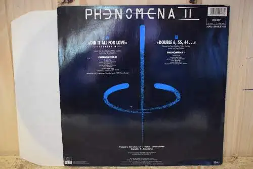 Phenomena II ‎– Did It All For Love