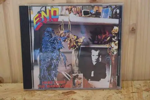 Eno ‎– Here Come The Warm Jets