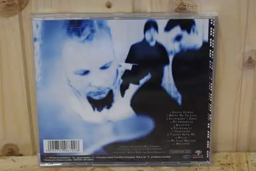 Evanescence ‎– Fallen