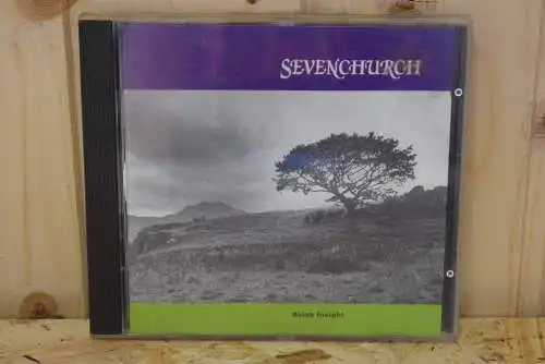 Sevenchurch ‎– Bleak Insight