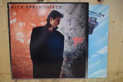 Rick Springfield ‎– Tao