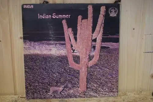 Indian Summer  – Indian Summer " Absolut seltenes Sammlerstück , Debut Album der britischen Prog Rock Band , Erstpressung von 1971 UK "