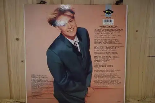 Jason Donovan ‎– Hang On To Your Love