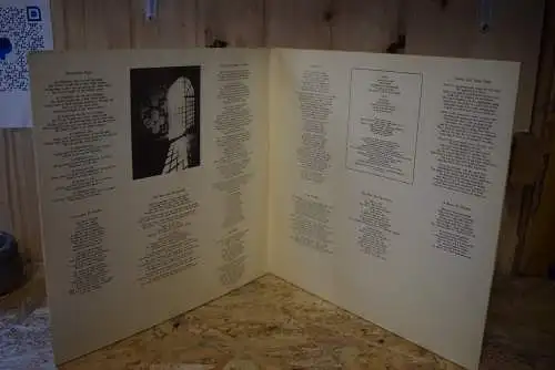 Angelo Branduardi ‎– Highdown Fair