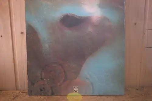 Pink Floyd – Meddle