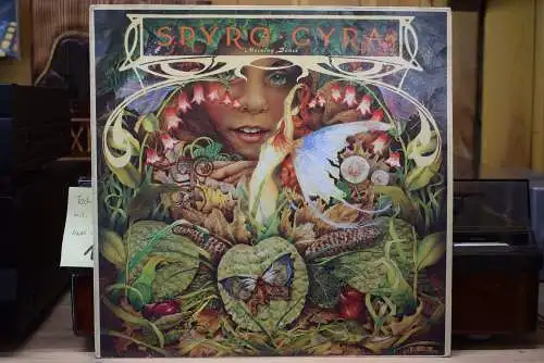 Spyro Gyra ‎– Morning Dance