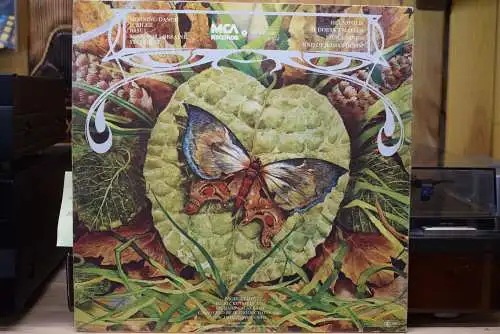 Spyro Gyra ‎– Morning Dance