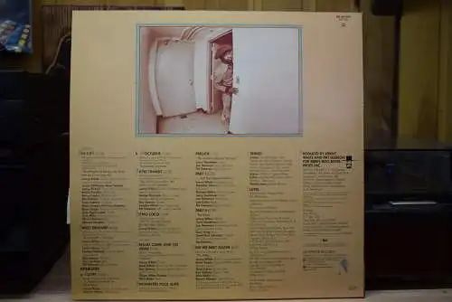 Lenny White ‎– Big City