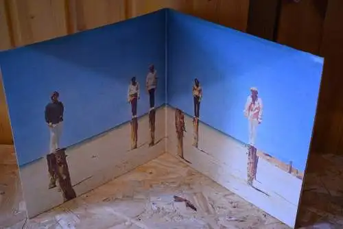 The Beach Boys ‎– 20 Grössten Hits