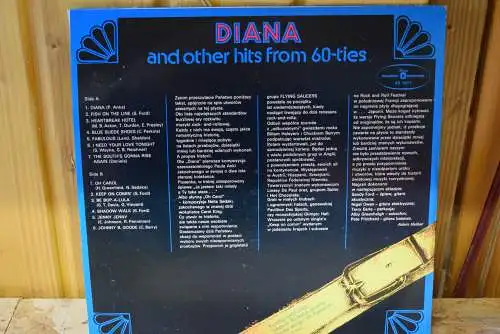 Flying Saucers ‎– Diana And Other Hits From 60-ties