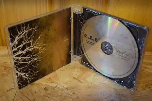 OneRepublic ‎– Dreaming Out Loud